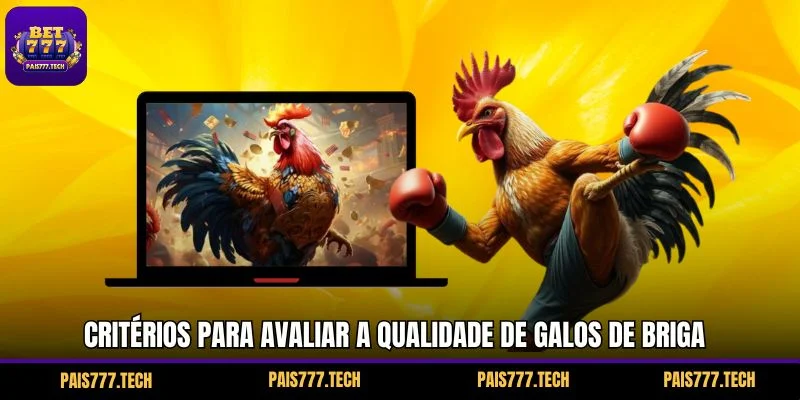 Critérios para avaliar a qualidade de galos de briga