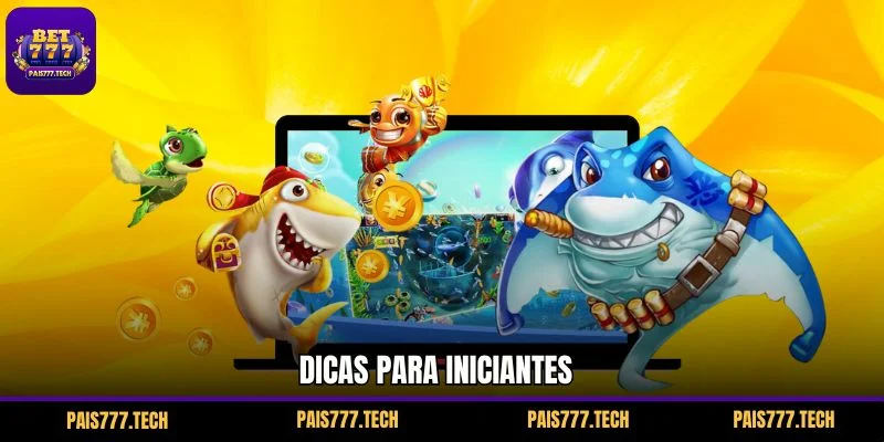 Dicas para iniciantes