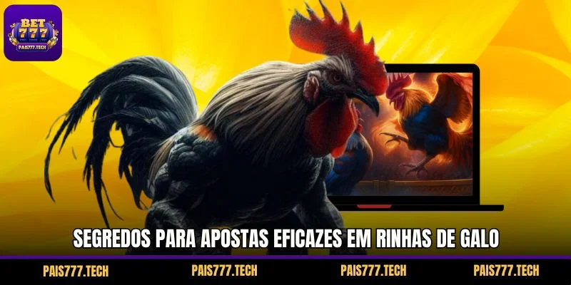 Segredos para apostas eficazes em rinhas de galo
