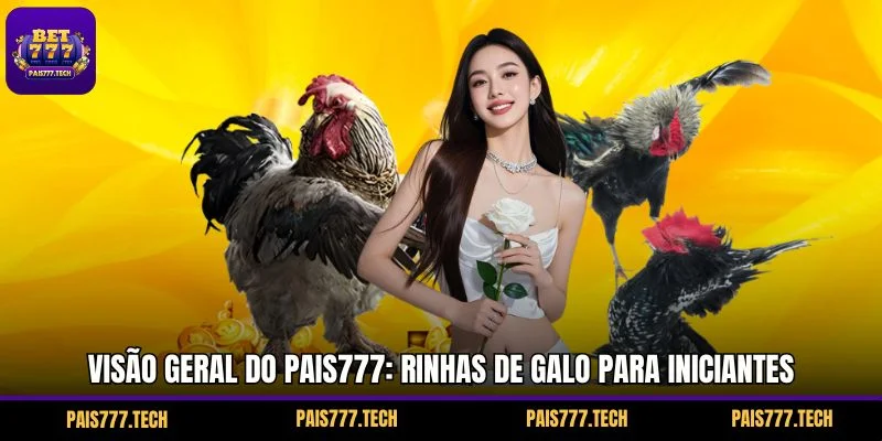 Visão geral do : rinhas de galo PAIS777 para iniciantes